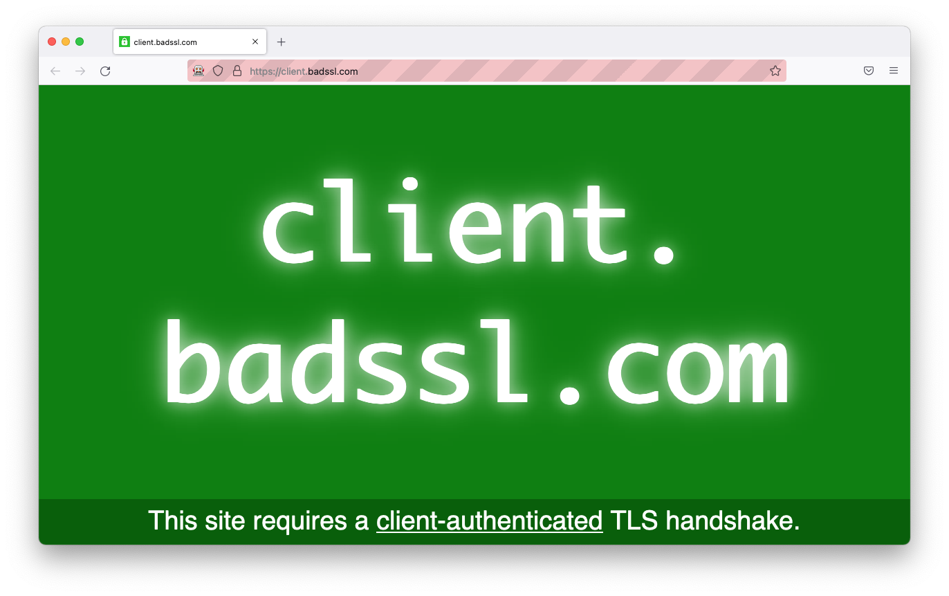 BadSSL Success