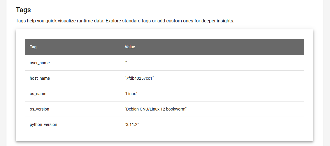 Tag information Screenshot of the BotCity Orchestrator, showing the continuation of the error detail blocks. Displaying the table with the default and additional error tags in two columns: Tag and Value.